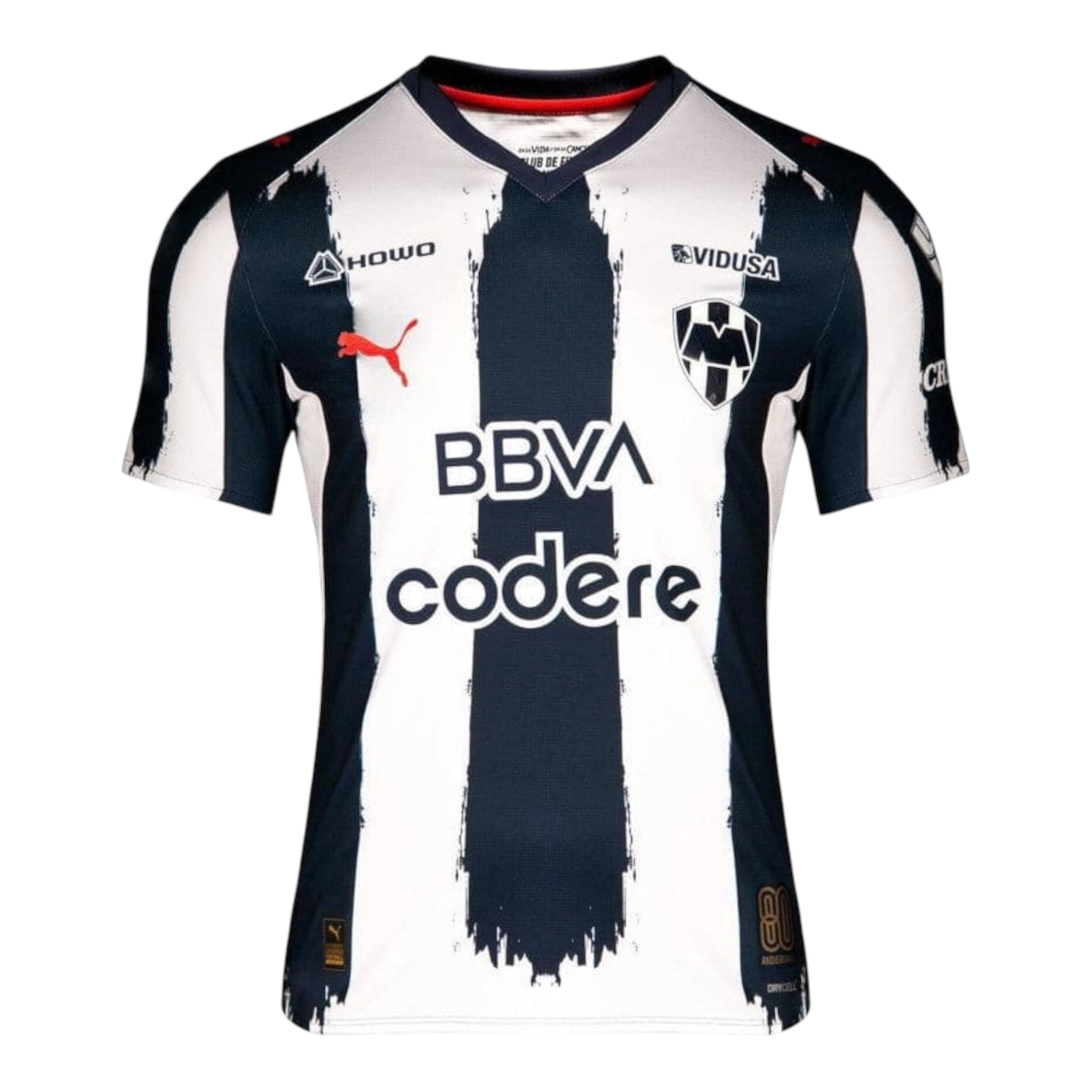 Rayados de Monterrey 1ra equipacion